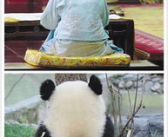 做一回娱乐圈吃瓜群众,揭秘明星幕后故事,做一回吃瓜群众!